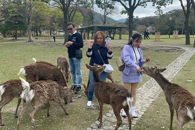NARA Custom Tour With Private Car and Driver (Max 9 Pax) - Directions