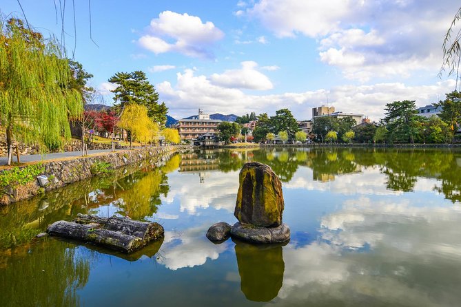 Nara Day Trip From Osaka With a Local: Private & Personalized - Additional Information