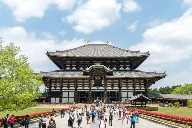 Nara Day Trip with Deer Park & Historic Temples,Shrine from Osaka - The Journey from Osaka to Nara: Smooth and Stress-Free  