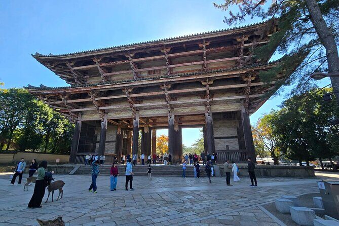 Nara Day Trip with Deer Park & Historic Temples,Shrine from Osaka - Authenticity and Review Insights  
