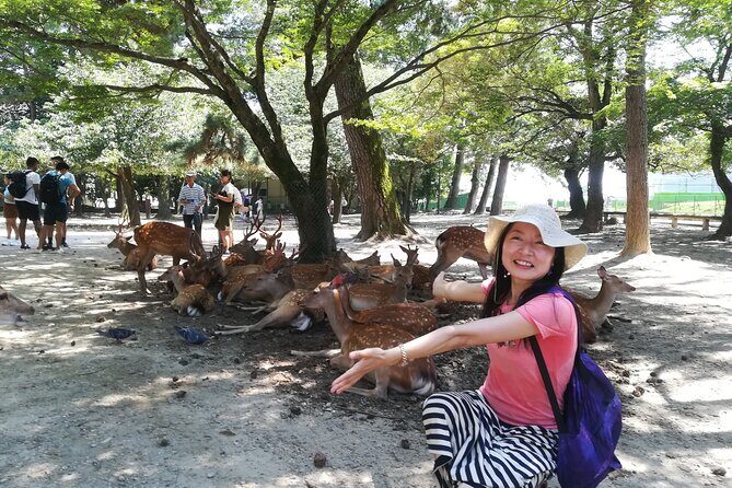 Nara Day Trip with Deer Park & Historic Temples,Shrine from Osaka - An In-Depth Look at the Nara Day Trip Experience