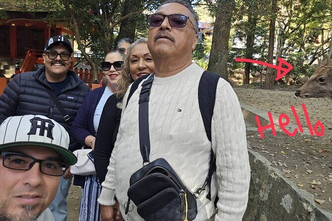 Nara Day Trip with Deer Park & Historic Temples,Shrine from Osaka - What Makes This Tour Stand Out