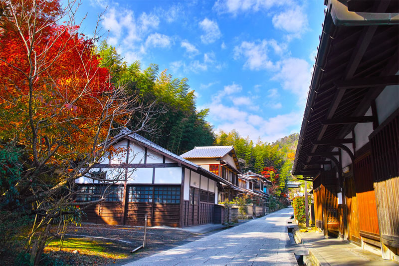 Nara Deer & Fushimi Inari-taisha Shrine & Arashiyama Day Trip (Departing from Osaka) - Three classic stops in one long day