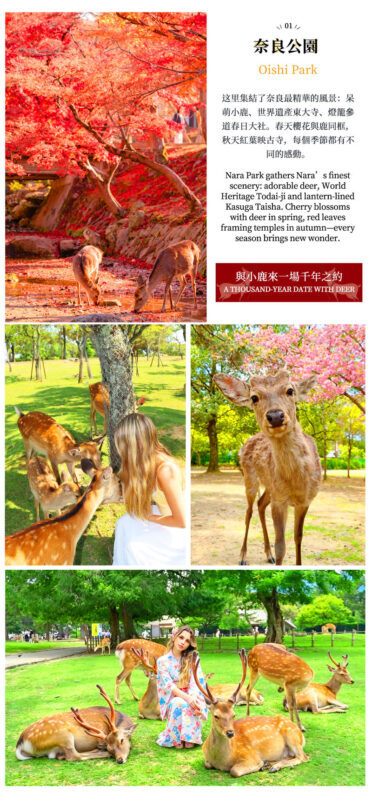 Nara Deer & Fushimi Inari-taisha Shrine & Arashiyama Day Trip (Departing from Osaka) - Nara Park and the deer crackers