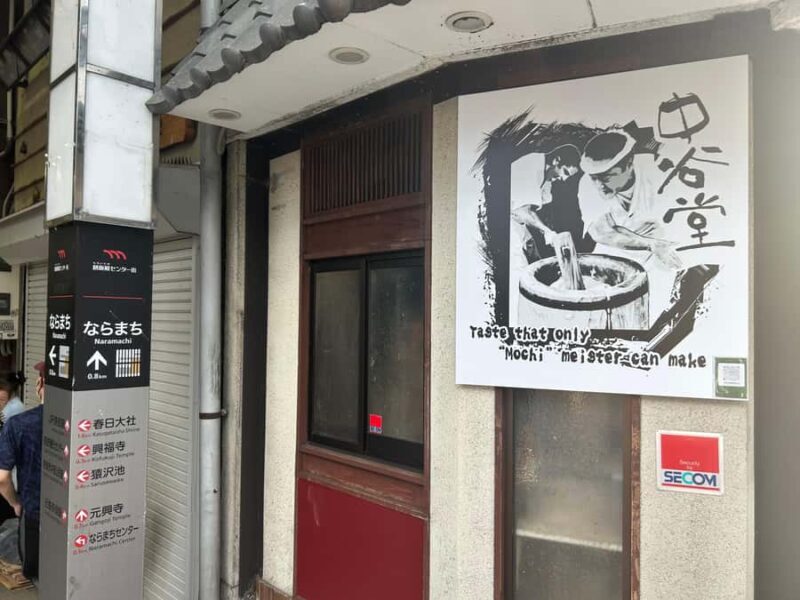 Nara: Deer, Great Buddha & Traditional Mochi Experience - A Comprehensive Look at the Nara: Deer, Great Buddha & Traditional Mochi Experience