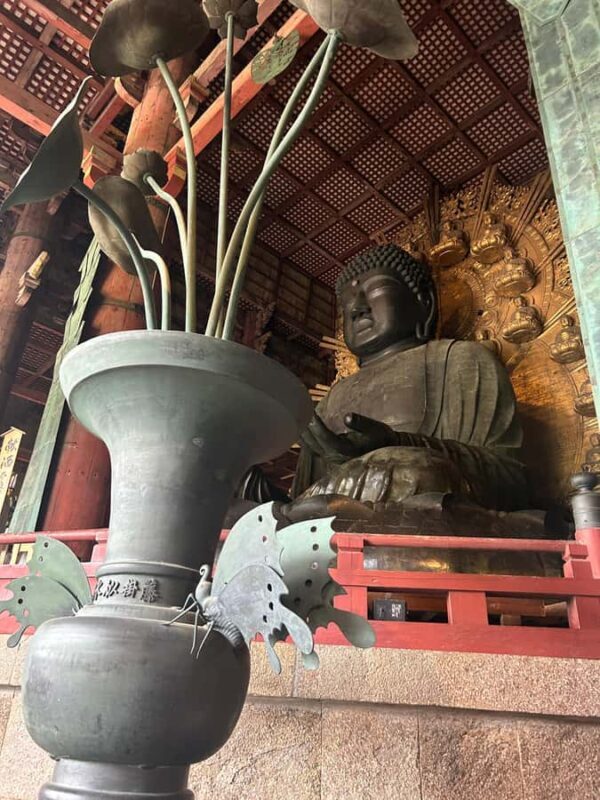 Nara: Deer, Great Buddha & Traditional Mochi Experience - Practical Details and What to Expect