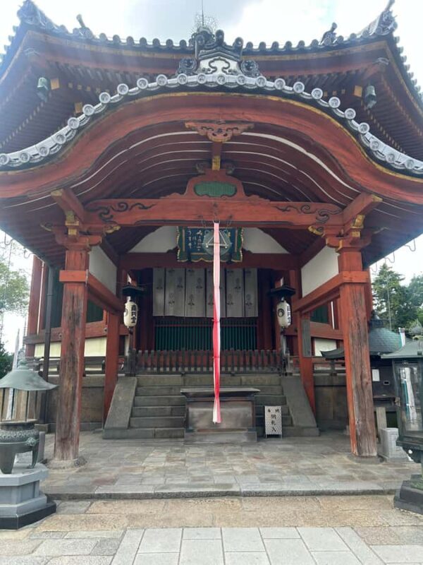 Nara: Deer, Great Buddha & Traditional Mochi Experience - In The Sum Up