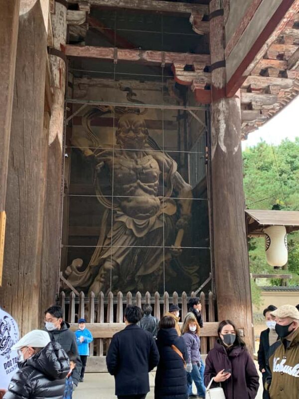 Nara: Deer, Great Buddha & Traditional Mochi Experience - Good To Know