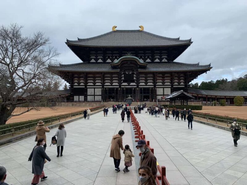 Nara: Deer, Great Buddha & Traditional Mochi Experience - Who is This Tour Best Suited For?