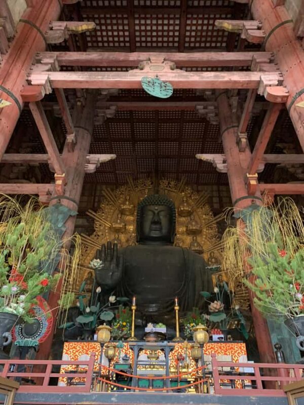 Nara: Deer, Great Buddha & Traditional Mochi Experience - FAQ