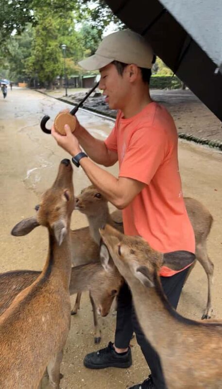 Nara: Deer, Temples, and Hidden Lanes Tour - Good To Know