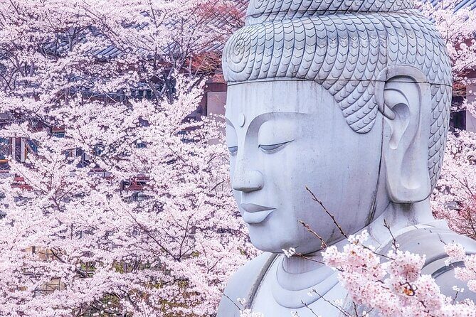 Nara: Discover a Giant Stone Buddha in the Forest Hills - Understanding the Itinerary: What You Can Expect