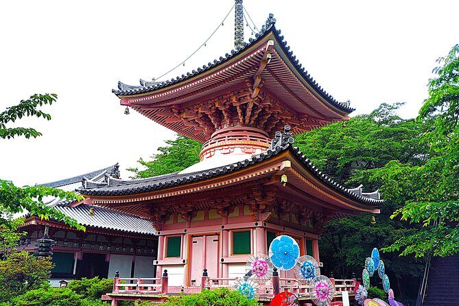 Nara: Discover a Giant Stone Buddha in the Forest Hills - The Sum Up: Who Should Consider This Tour?