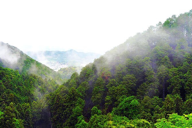 Nara: Discover a Giant Stone Buddha in the Forest Hills - Final Thoughts: Is This Tour Worth It?