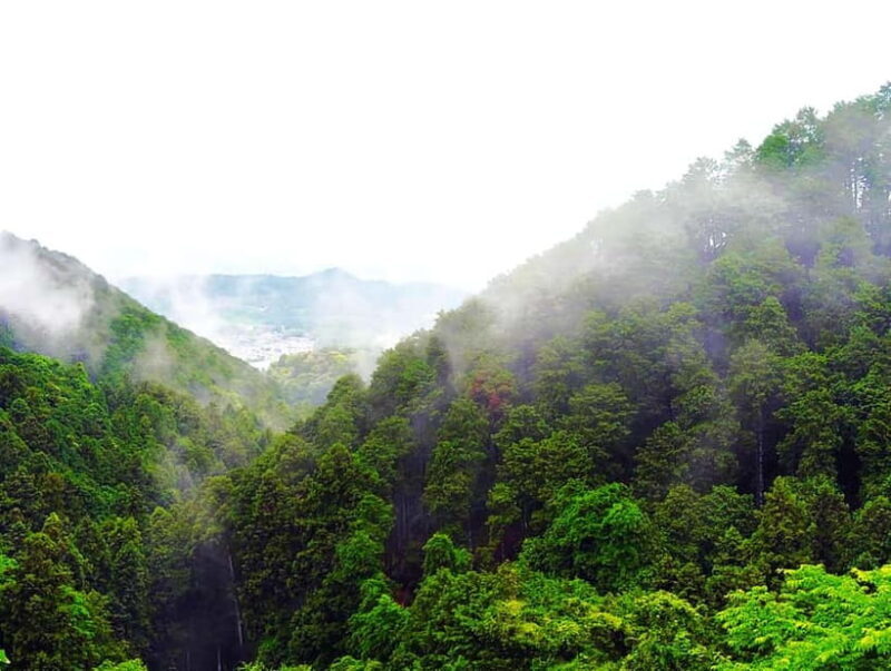 Nara: Discover a Giant Stone Buddha in the Forest Hills - Good To Know