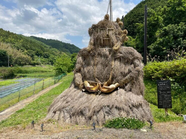 Nara: Discover Countryside– Landscape and Mysterious History - Good To Know