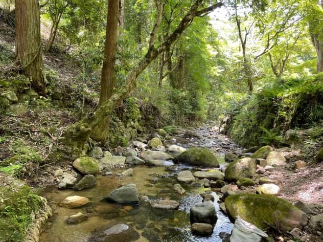 Nara: Discover Countryside– Landscape and Mysterious History - Itinerary Highlights