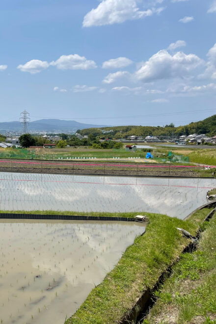 Nara: Discover Countryside– Landscape and Mysterious History - Unique Historical Sites