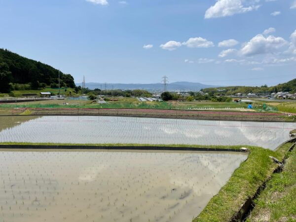 Nara: Discover Countryside– Landscape and Mysterious History - Inclusions and Exclusions