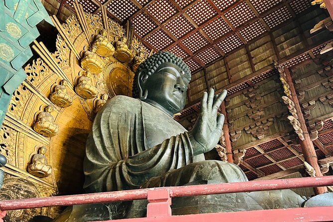 Nara Early Bird Tour (Kyoto Departure Option Available) - Traveler Reviews and Feedback