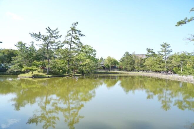 Nara Early Bird Tour (Kyoto Station Departure) - Booking Information