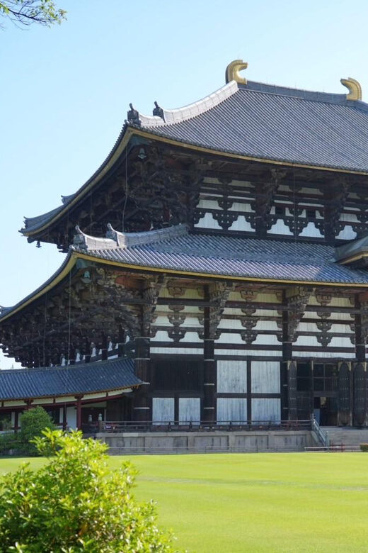 Nara Early Morning Tour (Kyoto or Osaka Departure Available) - Authentic Experiences & Local Insights