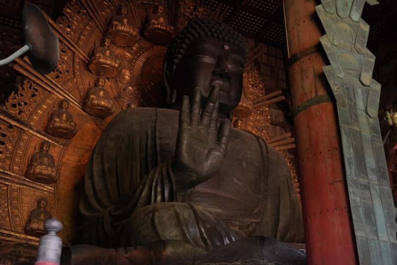 Nara Early Morning Tour (Kyoto or Osaka Departure Available) - Final Thoughts