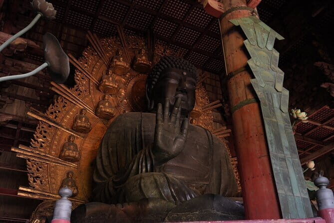 Nara Early Morning Tour (Osaka Departure Option) - Practical Details and What They Mean for You