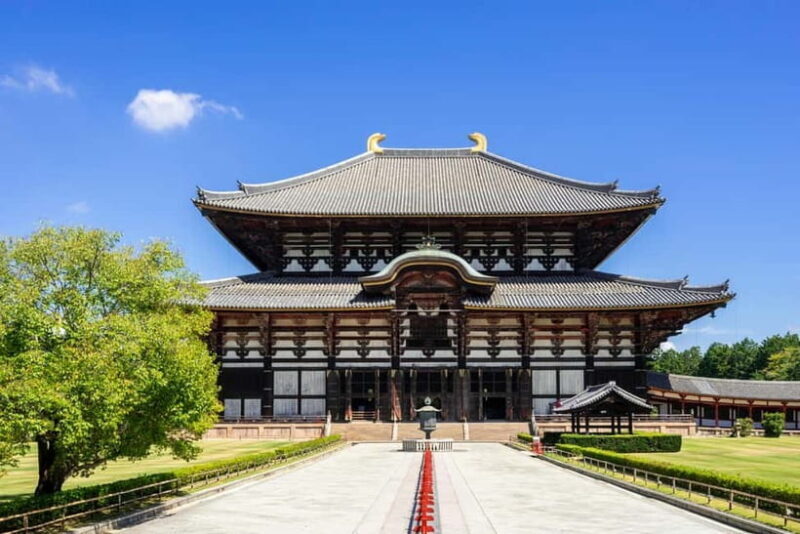 Nara: Enjoy the Highlights of Nara in 3 Hours - Good To Know