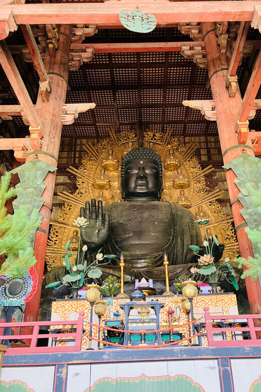 Nara: Essential Private Tour with Deer Park and Temples - Final Thoughts