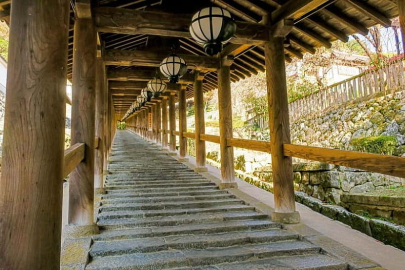 Nara: Explore Hasederas Giant Kannon and Cliffside Temple - FAQ