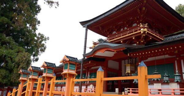 Nara: Explore Kasuga Taisha Shrine in Just 90 Minutes. - Visitor Experience Highlights