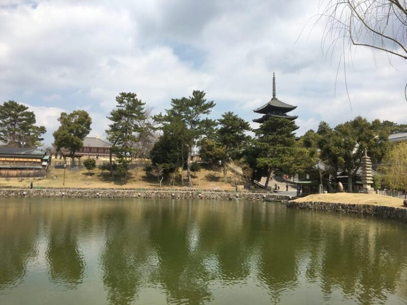Nara: Full-Day Private Guided Tour - Is This Tour Right for You?