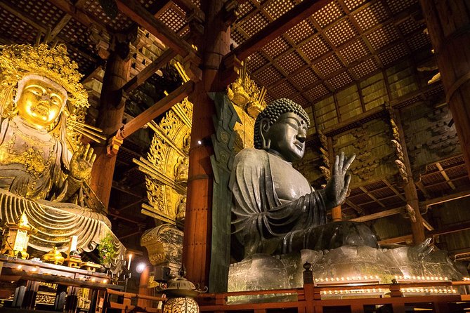 Nara Full-Day Private Tour With Government-Licensed Guide - Tour Overview and Details