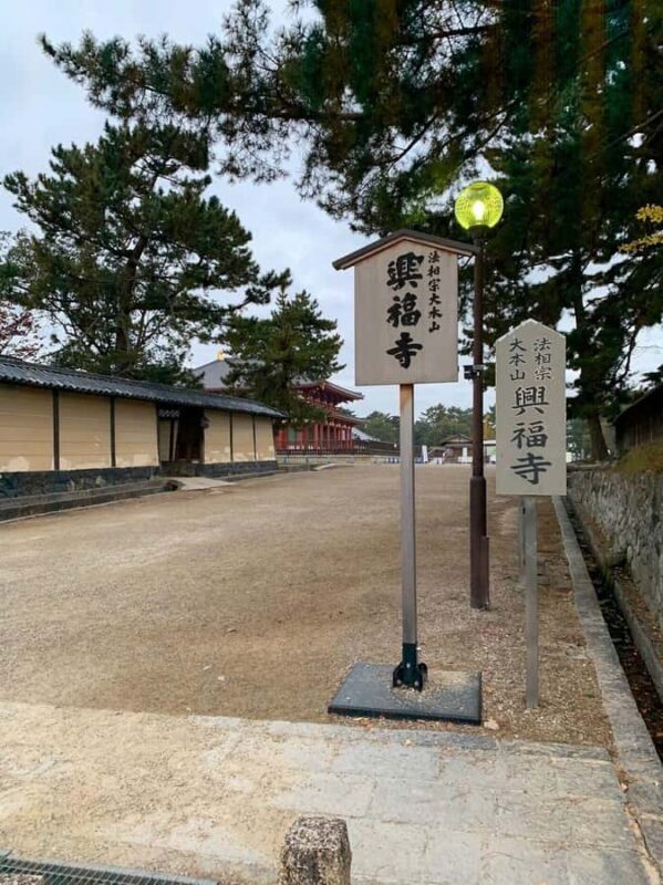 Nara Gardens and Temples Private Guided Tour with Transport - Why Choose This Tour?