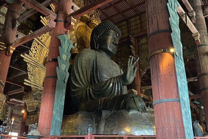 Nara Guided Tour by Private Car from Kyoto - Final Thoughts