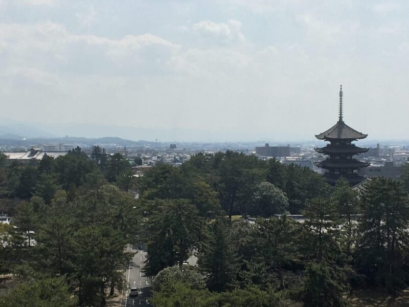 Nara: Half-Day Private Guided Tour - Good To Know
