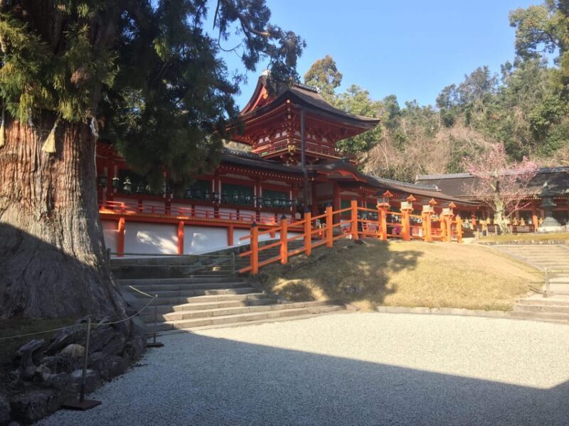 Nara: Half-Day Private Guided Tour - Who Would Enjoy This Tour?