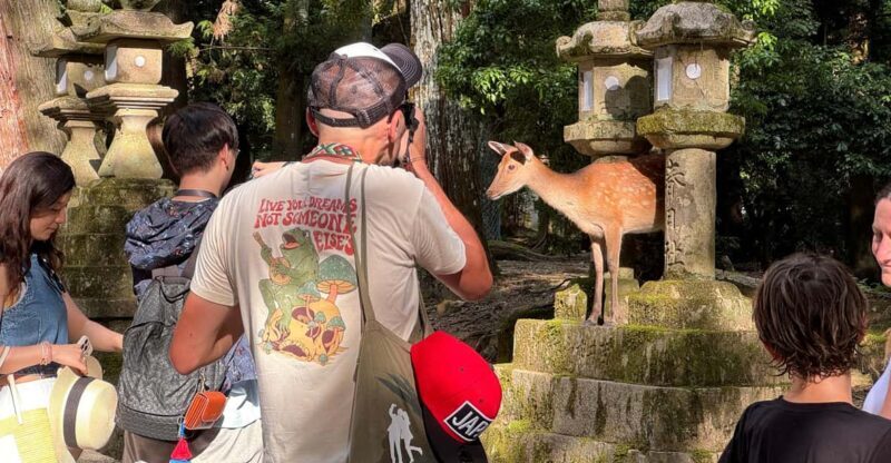 Nara: Half-Day Private Tour of 4 Must-See Spots & Deer Park - Nara: Half-Day Private Tour of 4 Must-See Spots & Deer Park