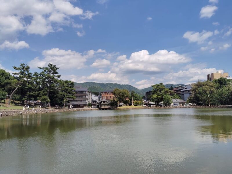 Nara: Half-Day Private Tour of 4 Must-See Spots & Deer Park - Good To Know