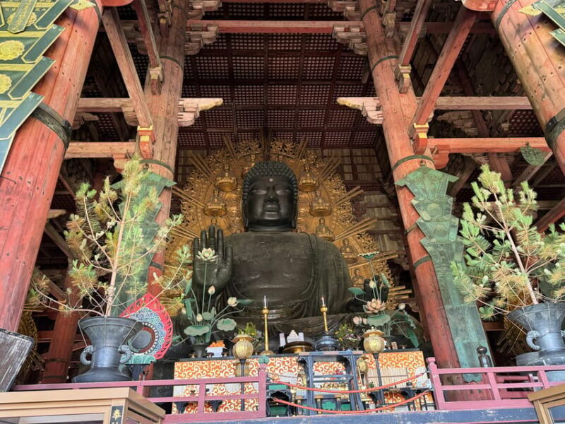 Nara: Half-Day Private Tour of 4 Must-See Spots & Deer Park - Practical Details and Experience Quality