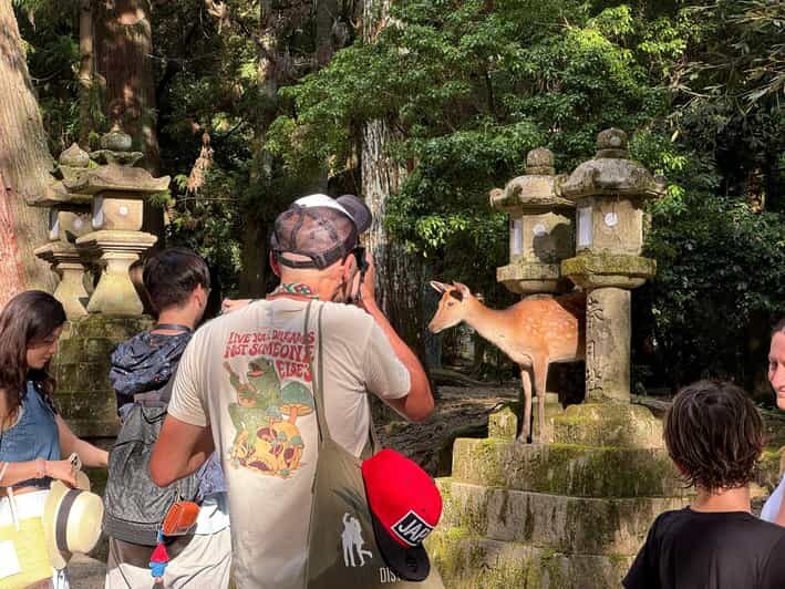 Nara: Half-Day Private Tour of 4 Must-See Spots & Deer Park - Final Thoughts