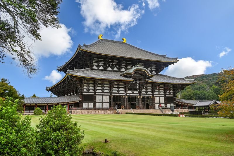 Nara Half-Day Small Group Tour - A guided introduction, not a full day in Nara