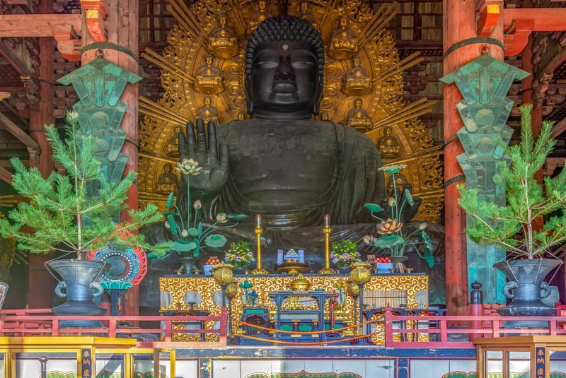 Nara Half-Day Small Group Tour - Check the finish time before you plan the day