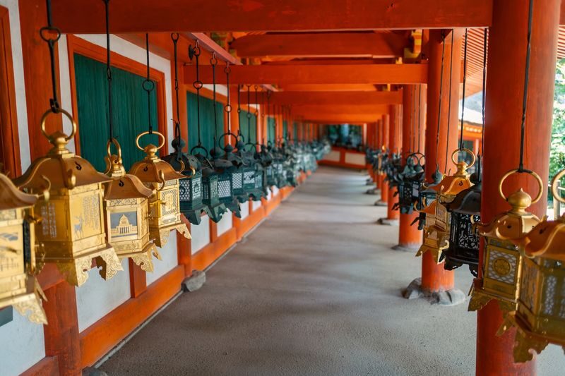 Nara Half-Day Small Group Tour - Who should book this tour?