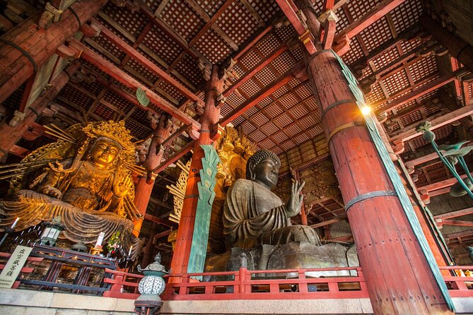 Nara Half Day Walking Tour - Start Time and Availability
