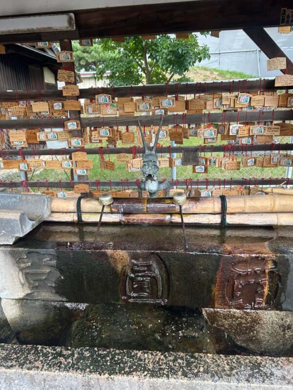 Nara: Half-Day Walking Tour | Spanish Private - What Real Travelers Say