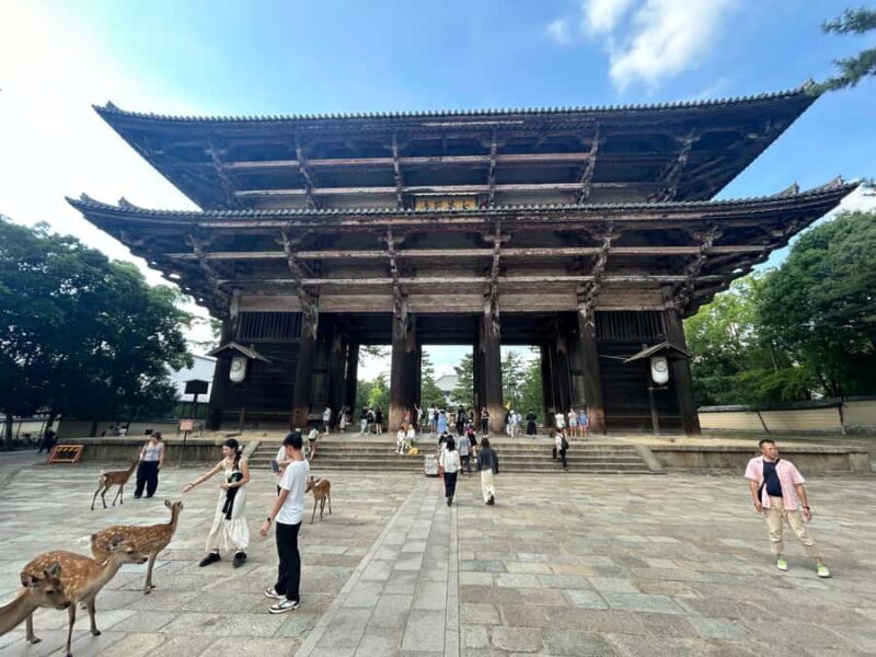 Nara: Half-Day Walking Tour | Spanish Private - FAQ
