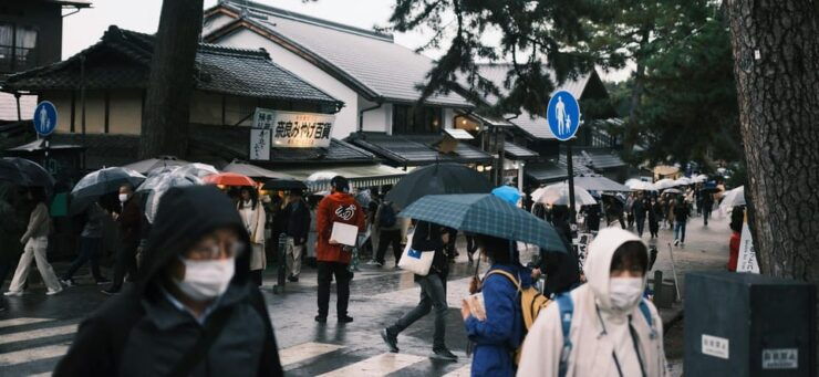 Nara Heritage Walkabout From Nara Park to Todaji-Ji Temple - Itinerary Highlights