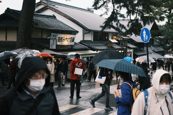 Nara Heritage Walkabout From Nara Park to Todaji Temple - Meeting Point and Starting Details